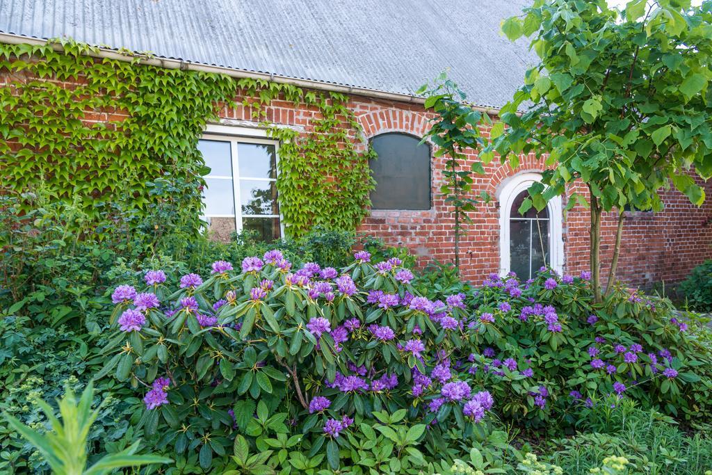 Ferienhof Kolauerhof - Bauernhofurlaub In Grömitz מראה חיצוני תמונה