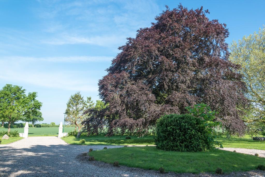 Ferienhof Kolauerhof - Bauernhofurlaub In Grömitz מראה חיצוני תמונה
